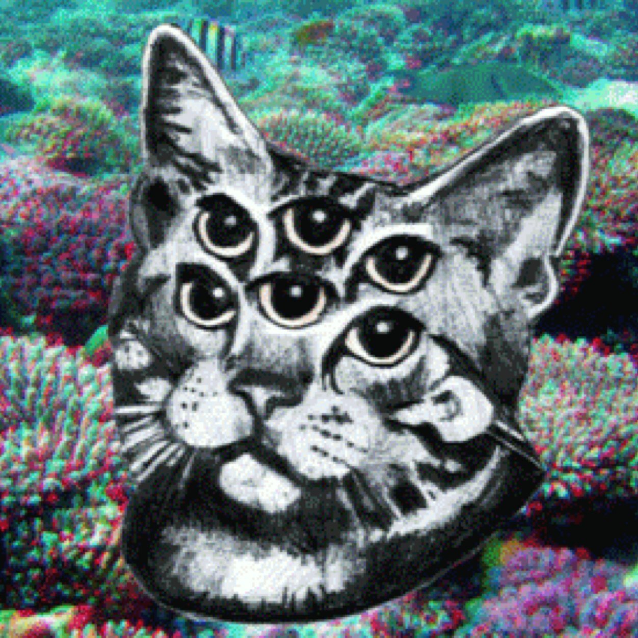 corrnosa's profile picture. My name is Maria, Maria Huana