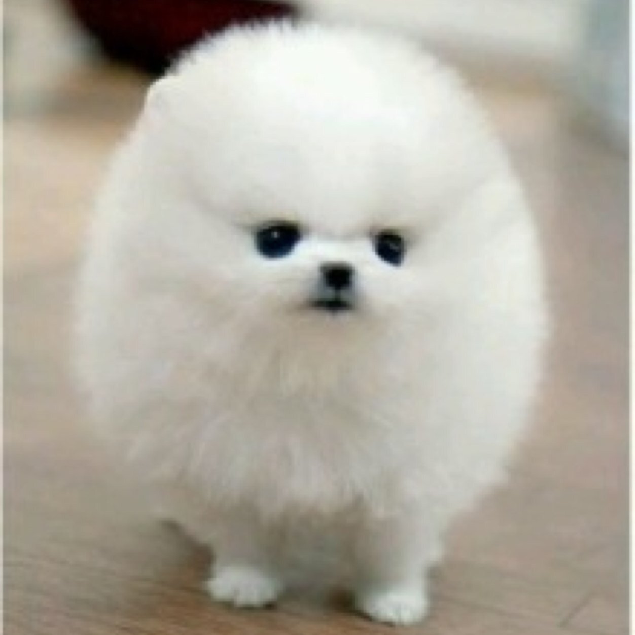 demi109's profile picture. 