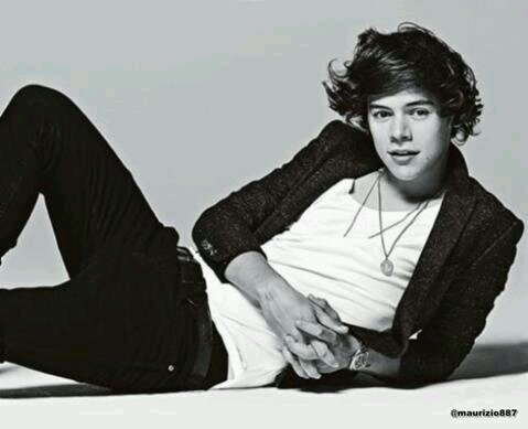 Follow me I follow back. I love only Harry so no one else.