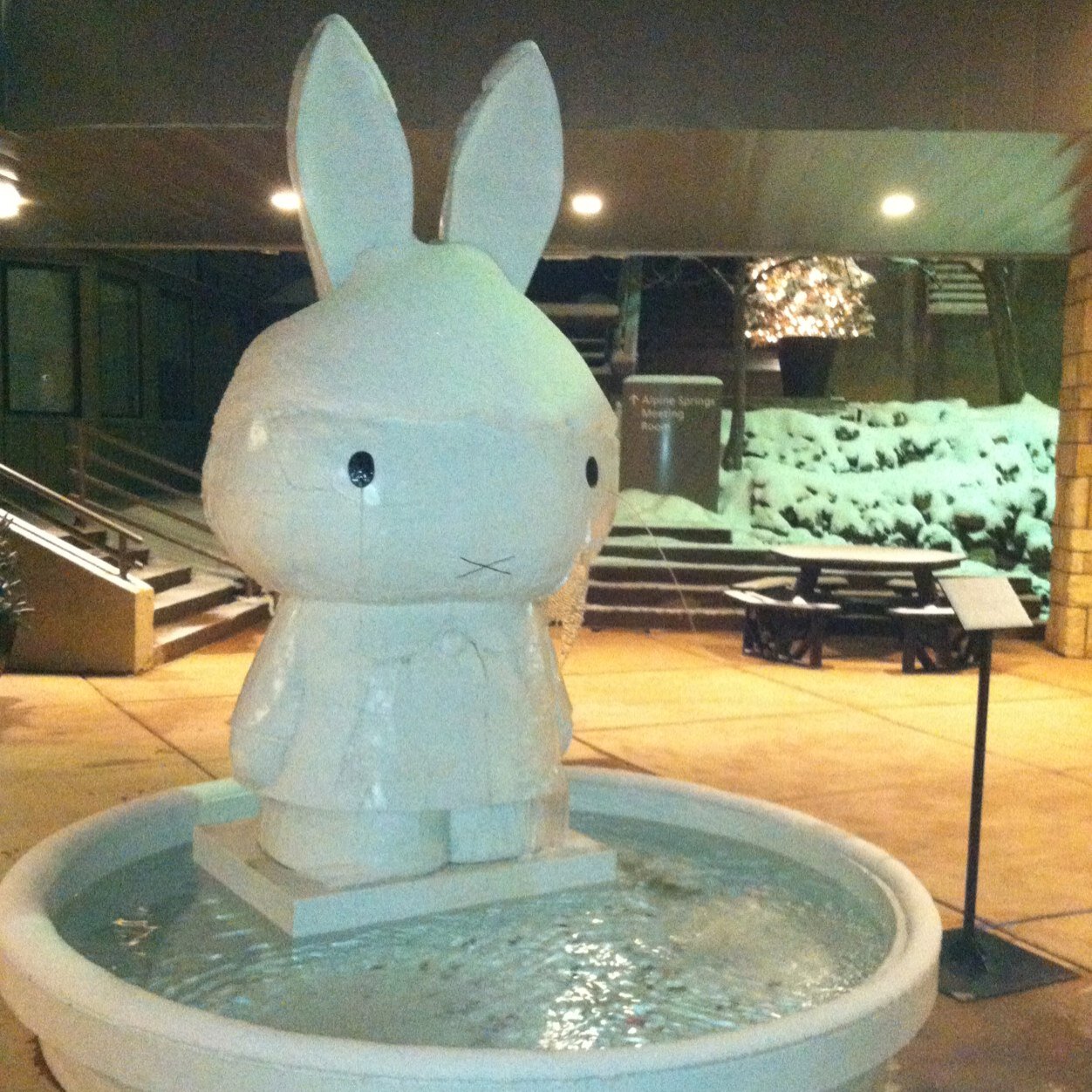 debpicca's profile picture. 