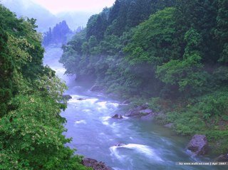 AlsabbaghNabil's profile picture. 