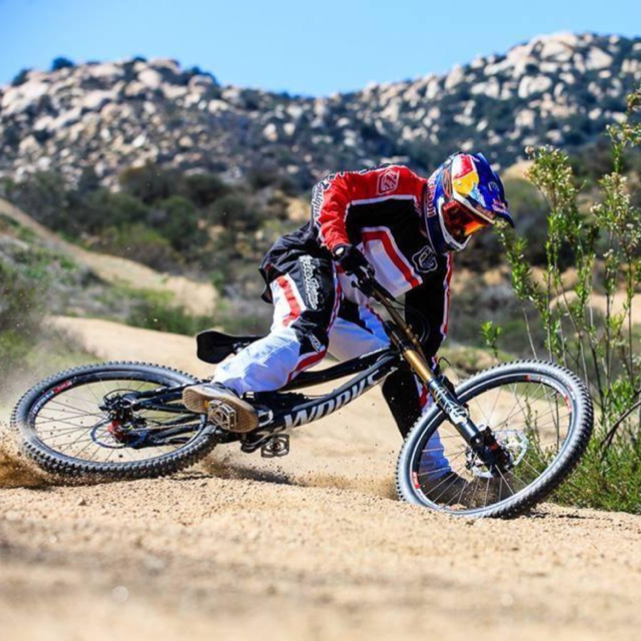 Gogo21Hugo's profile picture. 