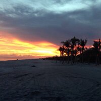 Mary Marengo (@marymarengoc) 's Twitter Profile