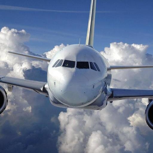 ztl8702's profile picture. Programmer & Language Revitalizationist