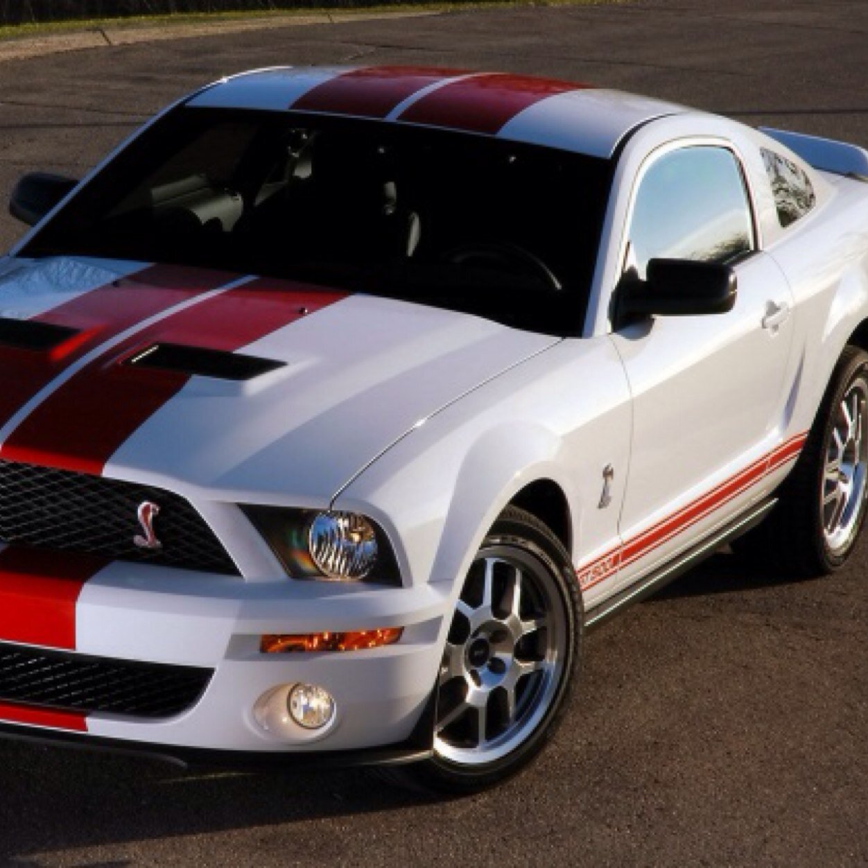 Follow for daily pictures of hot cars