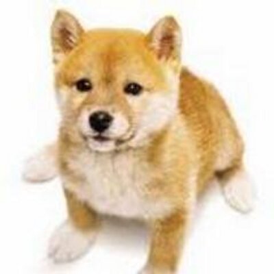 竹村美幸 Df4m7m17 Twitter 竹村美幸 Df4m7m17 Twitter