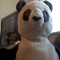 pandagirl1456's profile picture. I love pandas, Stampy, Squid, Lforlee and 1D!