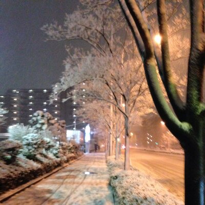 なつ