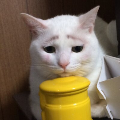 Uzivatel 猫だいふく Na Twitteru こないだ妹とlineしてたんだけど ディズニーのキャラクターで思い出せないのがいて 緑の 絵を描いてる猫何だっけ って言ったら ジェラニート だってwwwww 思い出せたけど ジェラトーニじゃないの Wwwww ディズニー ジェラトーニ Uzivatel 猫だいふく Na Twitteru こないだ妹とlineしてたんだけど ディズニーのキャラクターで思い出せないのがいて 緑の 絵を描いてる猫何だっけ って言ったら ジェラニート だってwwwww 思い出せたけど ジェラトーニじゃないの Wwwww ディズニー ジェラトーニ