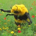 John Booth - @JohnDBooth - Twitter