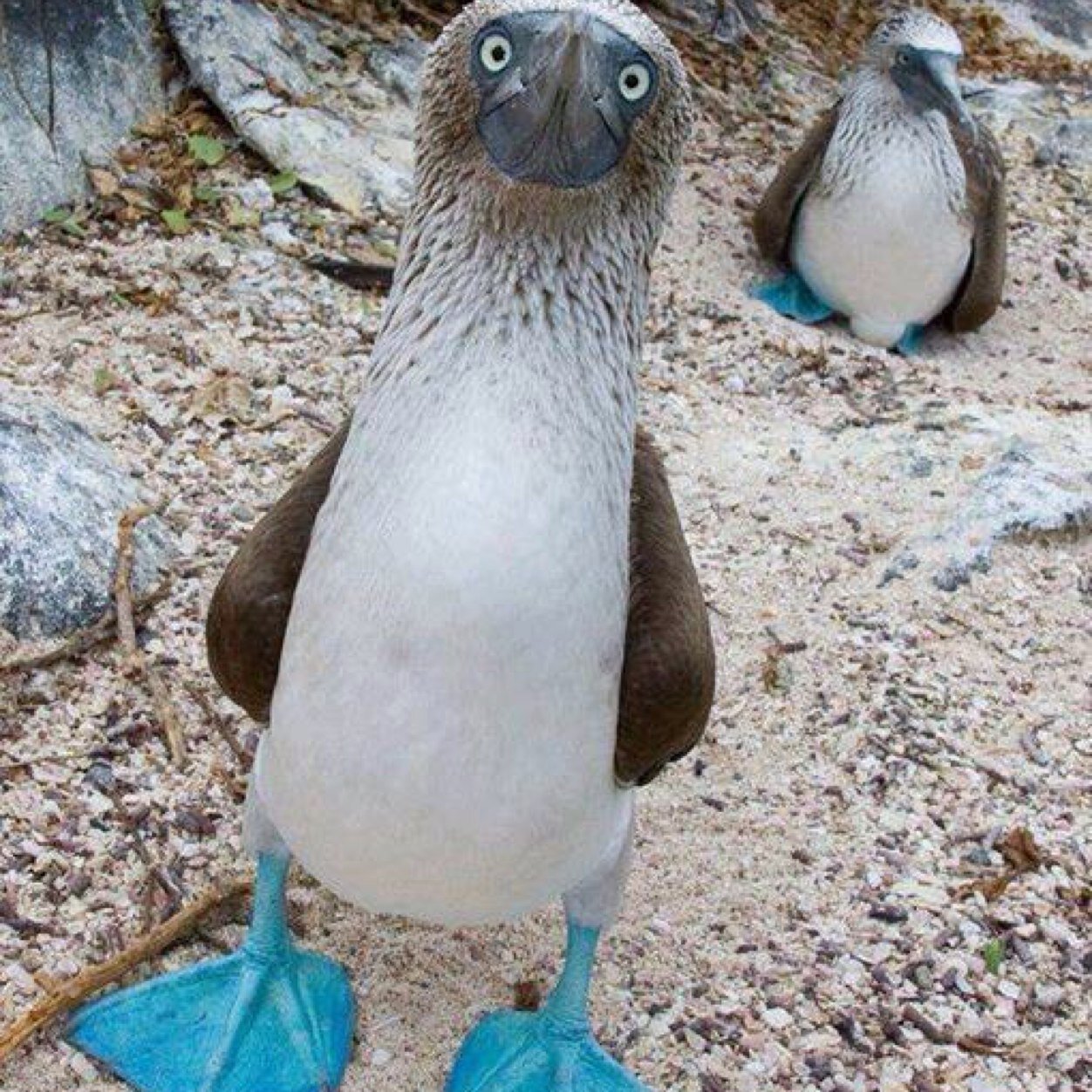 SuePeart's profile picture. All views expressed are my own