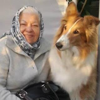 SusanadeHuerta's profile picture. Profesora Jubilada; Abuela, viuda y madre.