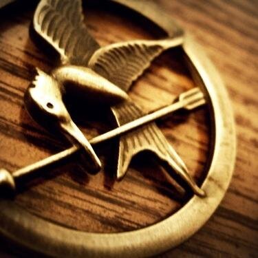 Rol de Los Juegos del Hambre. Para unirte contacta conmigo. Panem hoy, Panem mañana, Panem siempre. Personajes libres y normas abajo▼