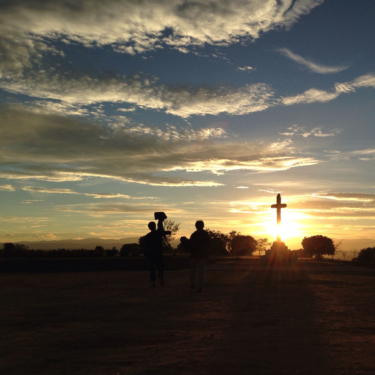 taishinlilly's profile picture. 基本、本と映画