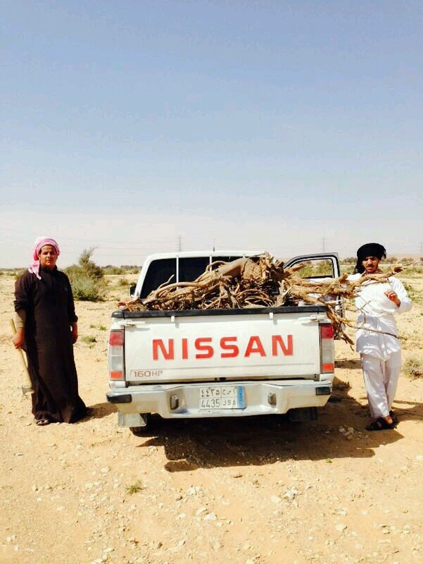 5/5 تابعني اتابعك كل رتويت لتغريداتي اسوي 10 رتويت لتغريداتك