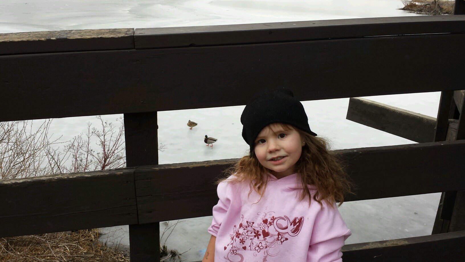 dbrobert77's profile picture. 