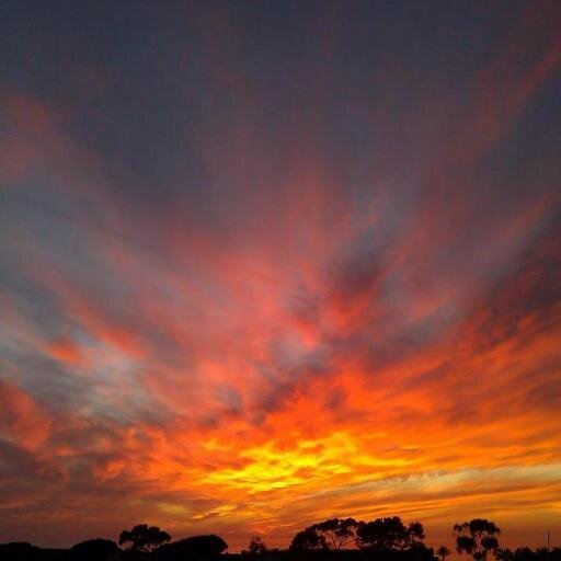 vadulak's profile picture. Livin' life at the beach
An old hippie's quest for peace in a fragile world #Environment #Poetry #Haiku #Photography #Art #Writing #Nature 
 #NOPOLITICS #NoList