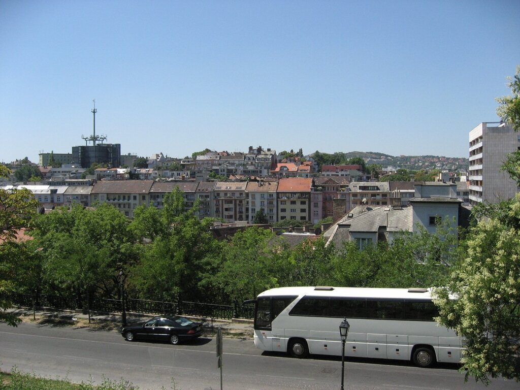 vertmsbearewhi's profile picture. 