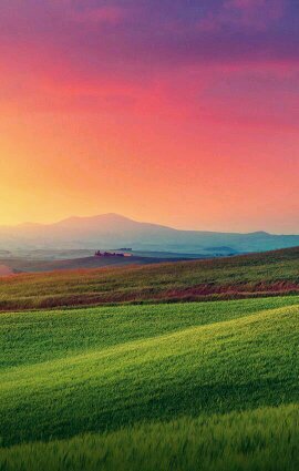 MLucilaMendez's profile picture. Licenciada en Psicología (UCA) . Psychologist.