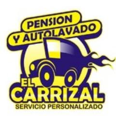 Auto lavado el Carrizal, todo tipo de servicios a domicilio