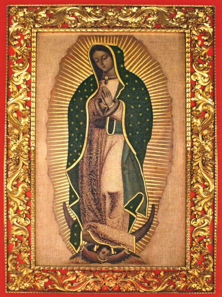 venezolana