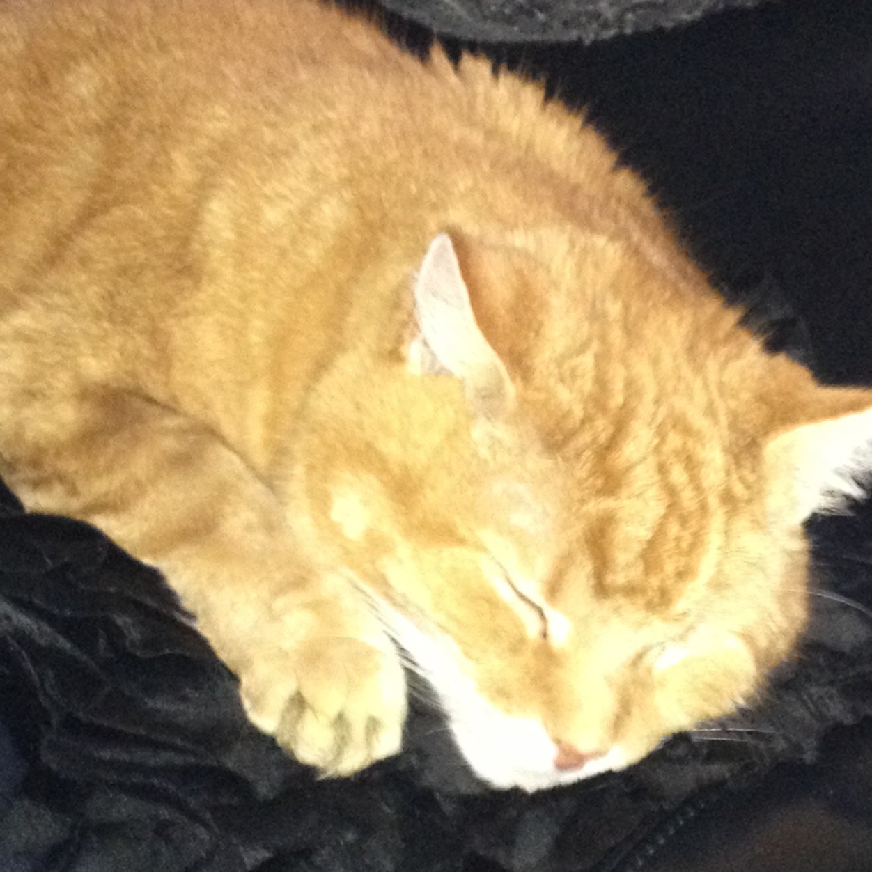 PymmTheresa's profile picture. 