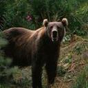 corey johnston - @mecoreyjohnston - Twitter