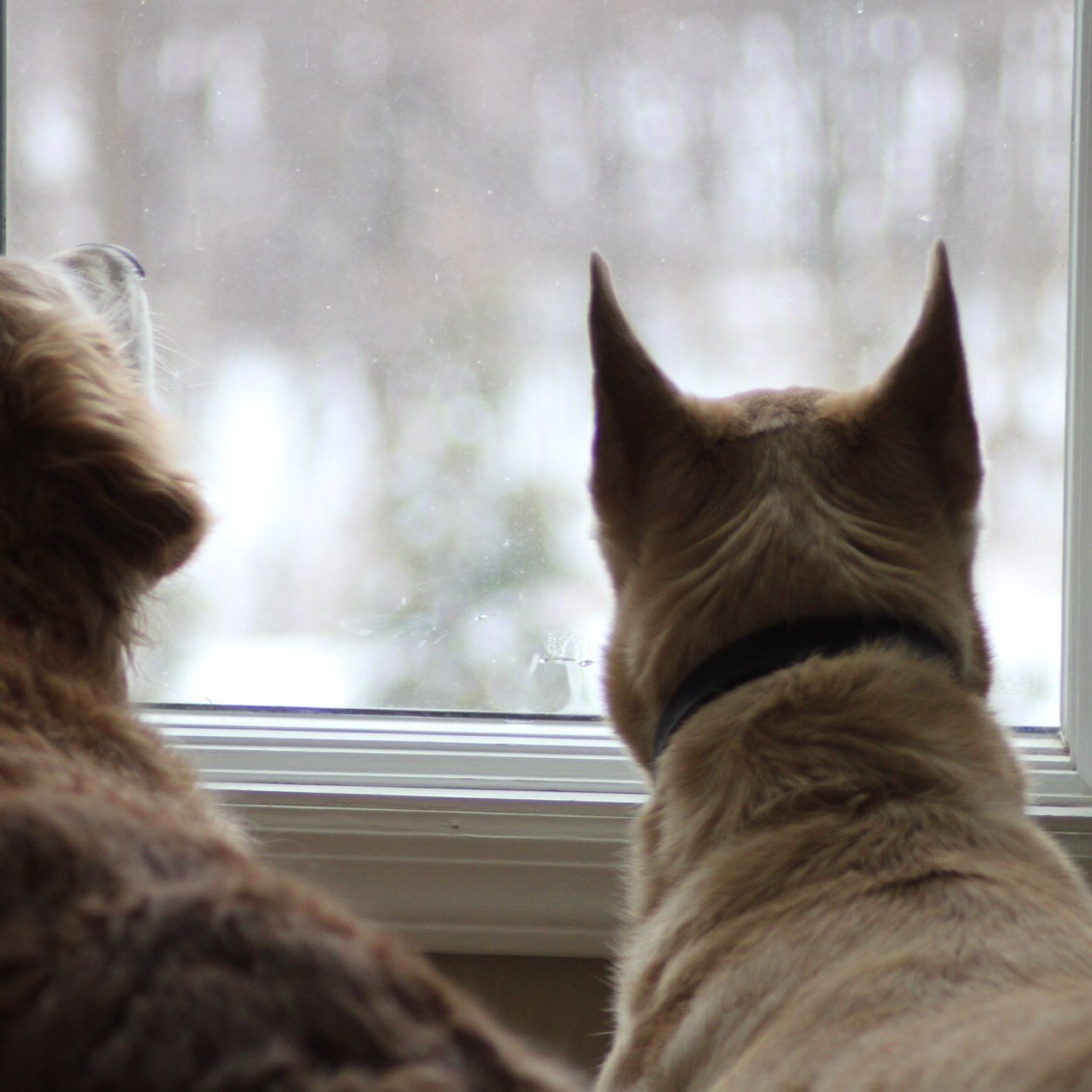 LAHeitman's profile picture. Teacher, reader, friend, dreamer, wishing to leave a better world, Californian at heart.