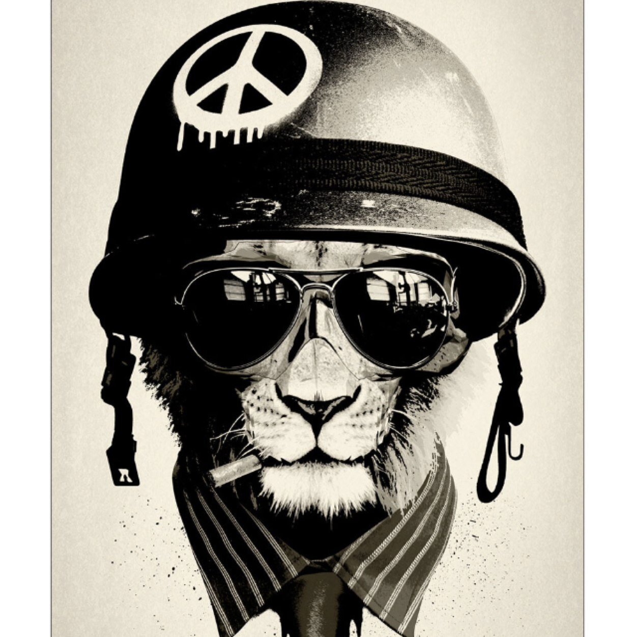 guismault's profile picture. 