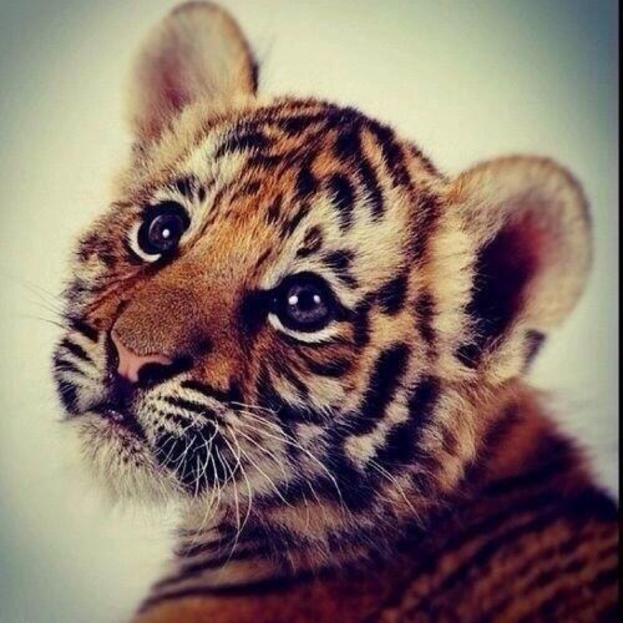 Boeitmijdatwat's profile picture. Dit gaat over alles wat ik leuk vind