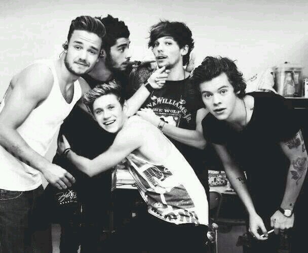 Vocês são a direção que eu sigo para não me perder dos meus sonhos.     Directioner and Walker!