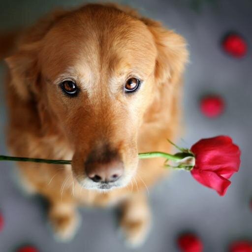 BrendaTaylors Profile Picture