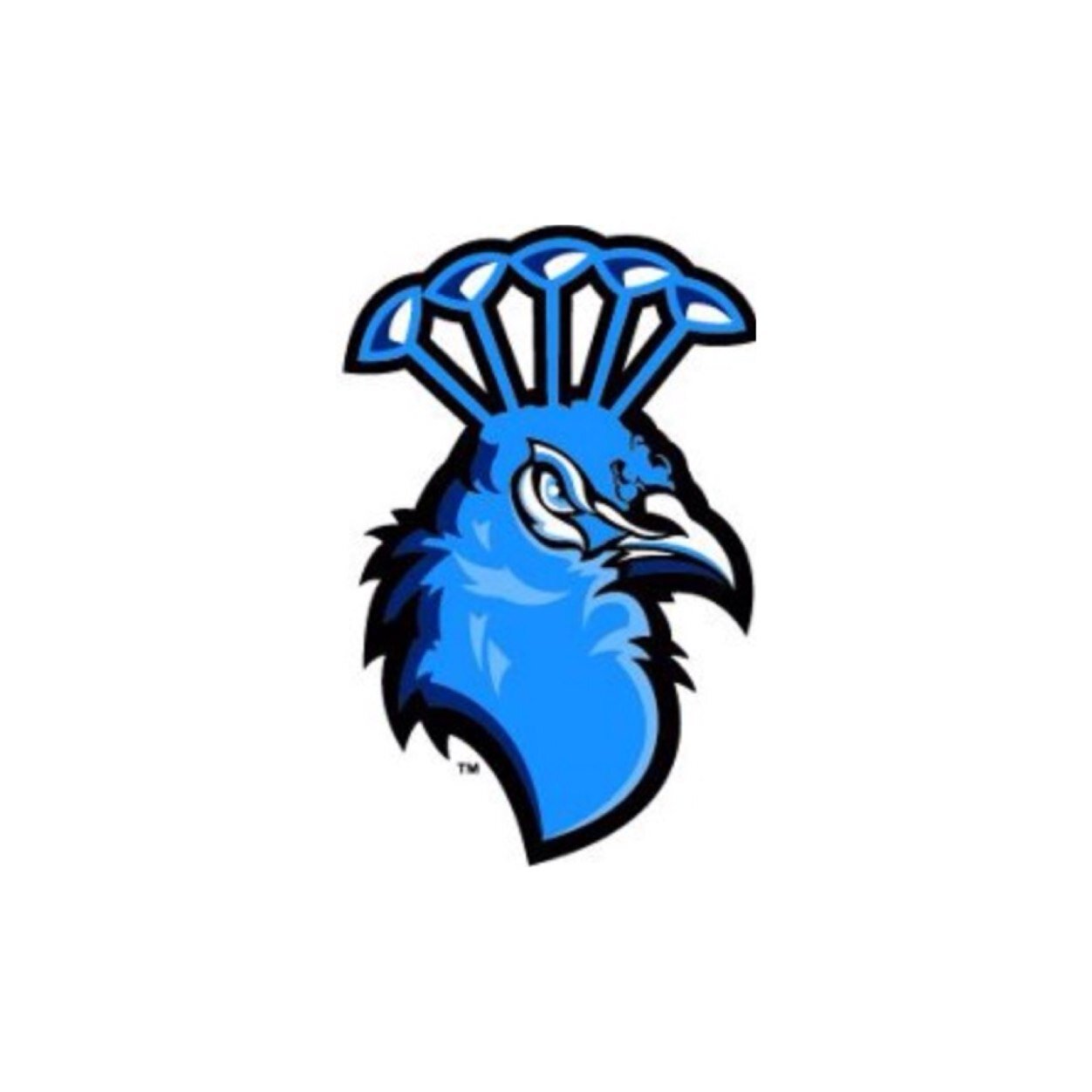 Not Affiliated with Saint Peter's University. Putting a positive spin on negative pages. DM me the person you'd like to shoutout because they're nice!