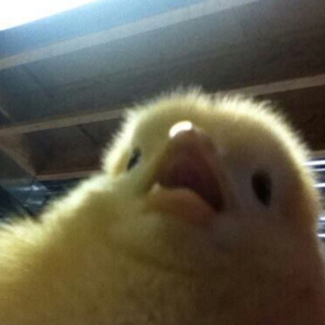 just tweets coming from me and from tumblr...