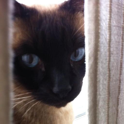 InesDurn's profile picture. 