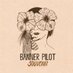 Banner Pilot (@bannerpilotband) Twitter profile photo