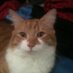 maggie (@campbell19572) Twitter profile photo
