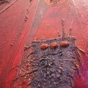 Sandra Turtle - @SandraTurtleArt - Twitter