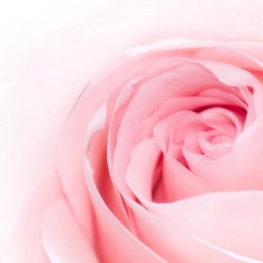 ograblis's profile picture. 