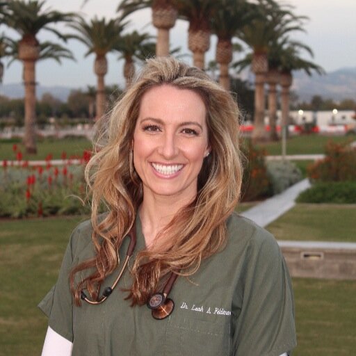 petdrleah's profile picture. Animal doctor, wine enthusiast, lover of oddities.