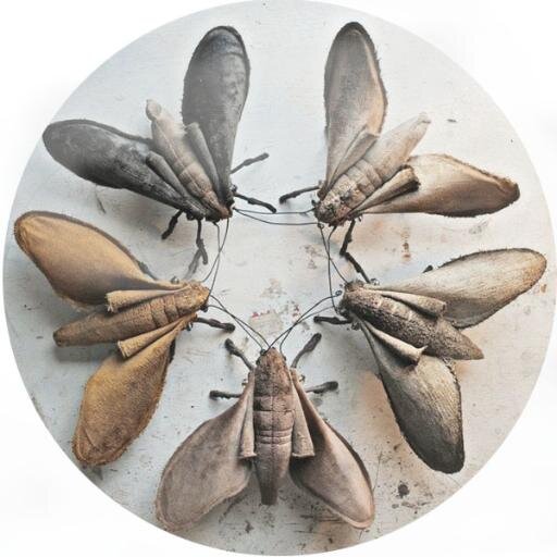 xerehbnm's profile picture. #взаимныйфолловинг