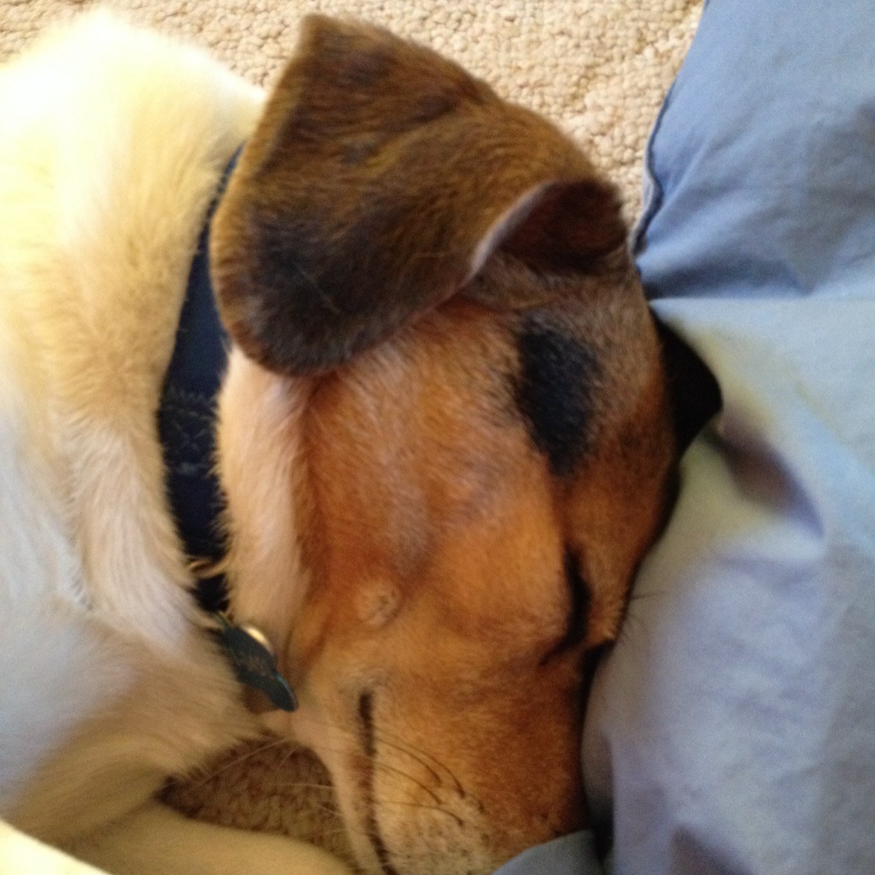 simonw8004's profile picture. 