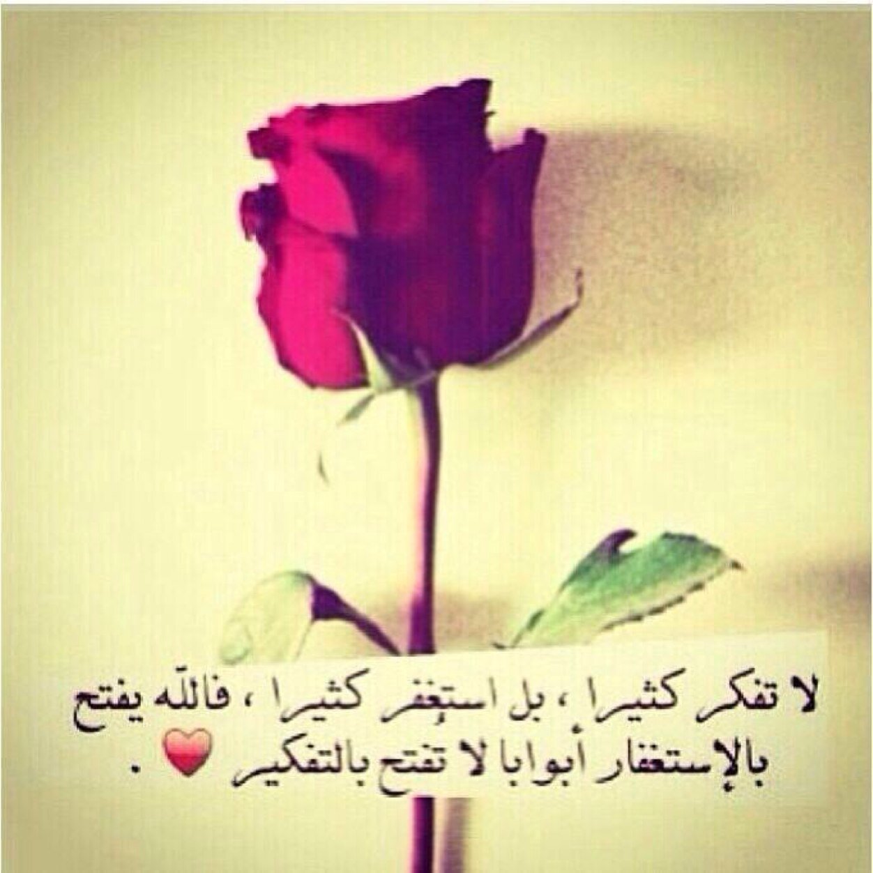 قَالَ رَبِّ بِمَا أَنْعَمْتَ عَلَيَّ فَلَنْ أَكُونَ ظَهِيرًا لِّلْمُجْرِمِينَ