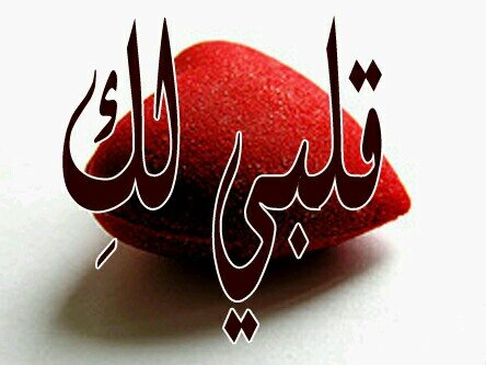 fmsd98's profile picture. 