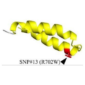 SNP_NOD2_Crohns's profile picture. #Crohn's Disease Risk Alleles on the #NOD2 Locus Have Been Maintained by #Natural_selection on Standing Variation