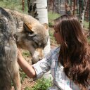 Katherine Latham - @_kate_latham - Twitter