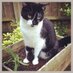 Dr Lucy Parker FCCT (@lucypb78) Twitter profile photo