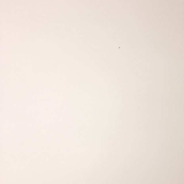 Husainialhawa's profile picture. 