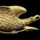 Darrius harris - @LuckyEagle_CoD - Twitter