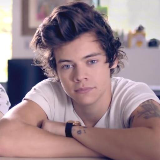 Zina Styles :P